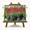 Photinia Fraseri Red Robin - Heckenpflanze auf Blumentopf 18 cm. - maximale Größe 80 cm.