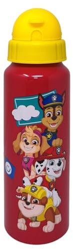 CARTOON Trinkflasche aus Aluminium mit Strohhalm Paw Patrol Flasche 550ml Kinderzubehör