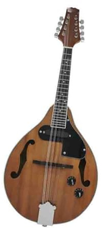 Acoustic Mandolin Eight String Mandolin Model A Electric Yellow Black Red(Coffee)