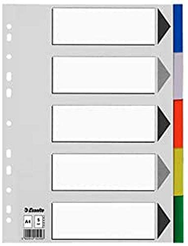 Esselte 11709 Register aus Kunststoff, A4, 5 Stück