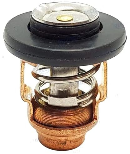Boot & Motor Thermostat Passend für Honda/Parsun/MerCruiser