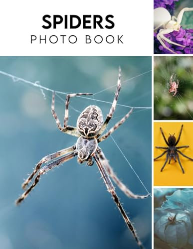 Spiders Photography Book: 2024 Animal Photo Picture Book Featuring Amazing Pictures and Photos For Kids And Adults Relaxation Christmas Photo Book For All Ages To Relieve Stress And Get Creative