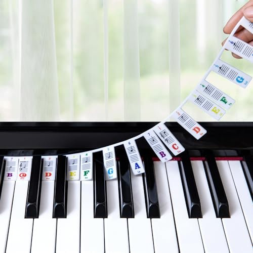 Guida Alle Note Del Pianoforte Per l'apprendimento Dei Principianti, Etichette Riutilizzabili e Rimovibili Delle Note Della Tastiera Del Pianoforte per Tutti Gli 88/61 Tasti (Colorato)