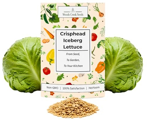 Crisphead Iceberg Lettuce Seeds for Planting - Heirloom, Non-GMO Head Variety with Dense, Crunchy Heads for Fresh Salads, Sandwiches, and Home Garden Growing | Woods Creek Seeds