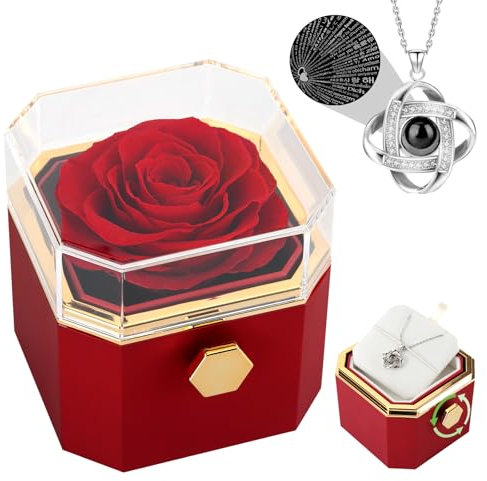 FAYODO Ewige Rose mit Halskette Damen,Drehbare Infinity Rosenbox Geschenke für Frauen,Mama,Oma,Valentinstag, Muttertag,Geburtstage,Hochzeitstag mit Ich Liebe Dich Kette in 100 Sprachen(Rot)