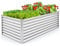 COSTWAY Metal Raised Garden Bed, Oval/Rectangular Elevated Planter Box Kit with Open Bottom, Indoor Outdoor Vegetable Fruit Flower Herb Growing Box (Rectangular, Silver, 180 x 95 x 60cm)