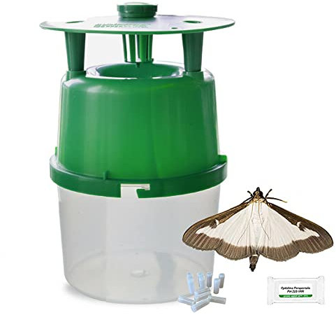 PlantPro Box Tree Caterpillar Moth Trap - Includes 4 Pheromone Lures, Green, 10x22cm
