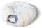 Plush Cat Tunnels Beds for Indoor Cats, 2-in-1 Cat Tunnel Haven for Endless Fun and Comfort Easy to Store, Removable and Washable 80 * 25cm (Gray)