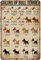Vintage-Blechschild, Motiv: Bullterrier, vertikales Poster, Retro-Wandkunst, Dekoration, Eisen, Gemälde für Zuhause, Küche, Café, Pub, Schild, 14 x 20 cm