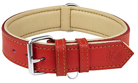 Riparo Echtes Leder Verstellbares Hundehalsband mit Zusätzlicher Verstärkung (XL: 4,5CM Breit für 53,4CM - 63,5CM Hals, Rot)