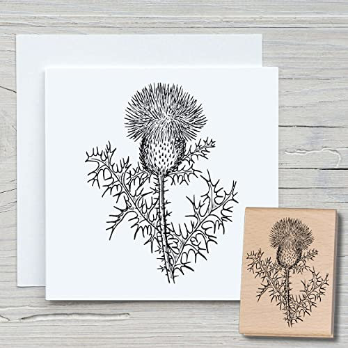 NEWSTAMPS Stempel Distel Motivstempel groß aus Holz & Gummi zum Karten basteln, Holzstempel, Blumen, Pflanzen, Floral, Wiese, Gräser, Scrapbook, Textilstempel, Deko, Kinder