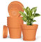 Plastic Plant Pots Indoor Outdoor, 6 Pack 6Inch/15CM Plant Pots Flower Pot with Drainage Holes and Tray,Modern Decorative Planter Pot for All House Plants(Terracotta)