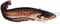 Jenzi Angeln Fisch - Aufkleber ca.15cm, Modell:Wels