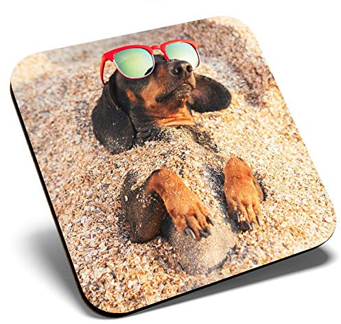 Großartiger einzelner Untersetzer quadratisch – Dackel Hund am Strand | glänzende Qualitäts-Untersetzer | Tischschutz für jeden Tisch #3225