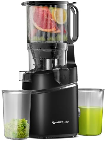 AMZCHEF Cold Press Juicer with 2 Speed Control - High Juice Yield Juicer Machines with Ultradense Filter - Masticating Slow Juicer for Whole Fruit and Vegetable, Deep Black