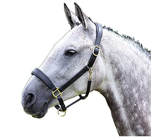 Shires Velociti GARA Blenheim Padded Leather Halter - Brass Black/X-Full