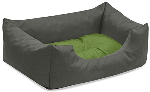 BedDog Hundebett Mimi, Hundesofa aus Cordura, Microfaser-Velours, waschbares Hundebett Vier-eckig mit Rand, Hundekissen für drinnen, draußen, S, grau-grün