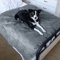 Pawsee Wasserdicht Hundedecke rutschfest, wasserdichte Hundematte für Unterwegs Hundesofa Schutzdecke Couch Überwurf, Waschbar Wasserabweisende Hundedecke für Große Hunde Katzen, M 150 x 120cm