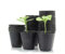 pour Lot de 100 récipients nutritionnels en plastique respirant pour semis de plantes - 6,5 x 6,5 cm - Noir