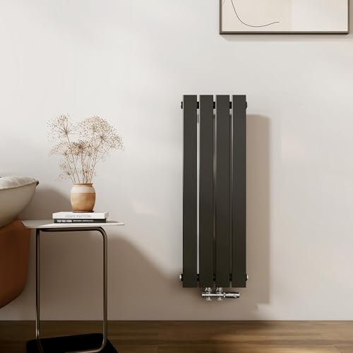 EMKE Heizkörper Klein 900x300mm, Vertikal Heizkörper Bad Flachheizkörper Mittelanschluss Design Paneelheizkörper Einlagig Wandheizkörper Schwarz 403 Watt