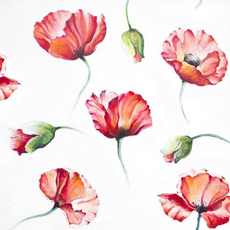 20 Servietten Drawing Poppy Gemalte Mohnblumen/Blumen 33x33cm