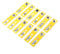 Walfront 12pcs Plastik Vorbereitete Mikroskop Objektträger Tiere Insekten Blumen Pflanzen Musterproben für Grundlegende Biologische Wissenschaft Bildung mit Box(Gelbe)