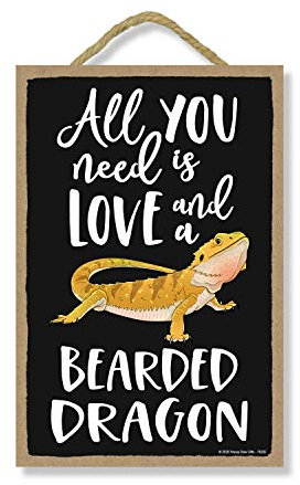 Honey Dew Gifts All You Need is Love and a Bearded Dragon Funny Wooden Home Decor for Pet Reptiles Lovers, Hanging Decorative Wall Sign, 7 Inch by 10.5 Inch, 76202