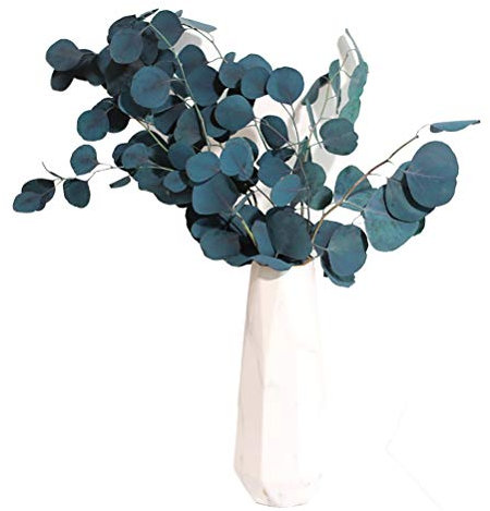 SUPYINI Getrocknete Blaue Blumen, 40 X 20 X 5 Eukalyptus-Trockenblumen, Ewige Haltbarkeit, Getrockneter Blumenstrauß, Dekoration Zuhause, Wohnzimmer, Dekoration (Blau)