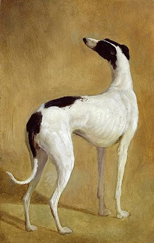 IPLUPJDY Bilder Moderne Kunst Gemälde WandgemäLde Studie eines Windhundes von Jacques Laurent Agasse Leinwand Malerei Poster für Wanddekoration 60x90cm