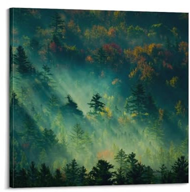 LUFPOTH Nshdahns Poster, Natur, Grün, Atmosphäre, Morgen, Ökosystem, Wandkunst, Vintage-Kunst, Raumdekoration, ästhetisches Schlafzimmer-Poster für Schlafzimmer, 70 x 70 cm, Rahmenstil-7