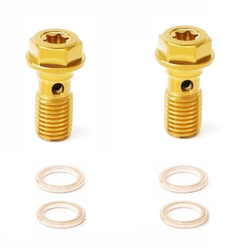 Vis de Banjo M10X1.25 universels en Acier Inoxydable pour Le Tuyau de freinage de Moto(2 Piece)