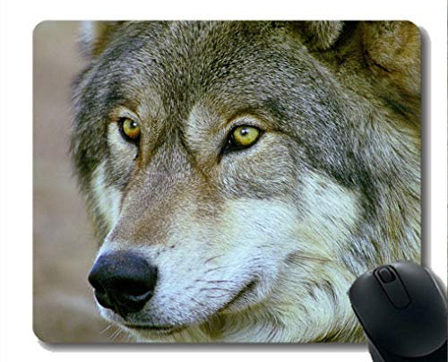Mouse Pad Non-Skid Natural Rubber Rectangle Mouse Pads,Animal wolf glasses Mousepad Nonslip Rubber Backing