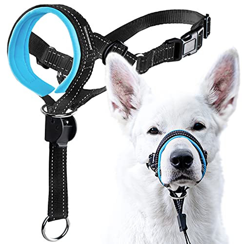 GoodBoy Hundehalfter mit Sicherheitsgurt – stoppt starkes Ziehen an der Leine, gepolstertes Halfter für kleine, mittelgroße und große Hunde – Anleitung für das Halfter (Größe 1, blau)