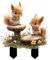 Eichhörnchen Deko Figuren Gartendeko zum Stecken, 2D Flach Klein Eichhörnchen Gartenstecker Niedliche Tiere-Figure Dekostecker für den Außenbereich, Baumstecker Gartenschilder für Hof Rasen Deko (A)