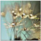ARTland Wanddeko Glasbilder Wandbild Glas Bild einteilig 50 x 50 cm Quadratisch Innere Ruhe Wellness Natur Pflanzen Blumen Pusteblume Regen Tau Tropfen Gold Sonnenaufgang S9LP