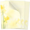 50 Blatt Briefpapier (A4) | Frühling gelb Osterglocke | Motivpapier | edles Design Papier | beidseitig bedruckt | Osternpapier Motiv Ostern | 90 g/m²
