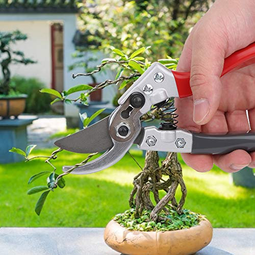 Tijeras de Podar, Podadora de Recorte Manual, Podadoras Manuales, Plantas de Flores de Césped de Jardín para Plantas en Macetas, Ramitas de Tallos de Corte