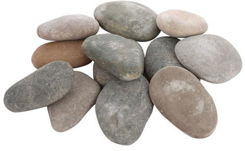 ASelected 20 Stück Malkiesel, große, flache Kieselsteine zum Malen, 5,9 cm bis 8,9 cm, glatte Kieselsteine zum Basteln, Malen von Mandala- und Freundlichkeitssteinen, handverlesene Natursteine,