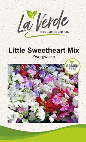 Wicke Little Sweetheart Mix Blumensamen