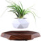 MOOCCI Schwebender Blumentopf Magnetisch Schwebender Blumentopf für Sukkulenten, Luftbonsai und künstliche Blumen und Pflanzen, einzigartige Dekoration für Zuhause, Büro und Schreibtisch (Braun)