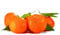 Citrus sinensis – Orangenbaum (80-100 cm) – Echte Orange – Apfelsine – Zitruspflanze für den Garten oder Balkon – Frische, Vitaminreiche Früchte – Einfach zu pflegen – Ideal für sonnige Standorte