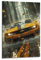 FYUER Poster American Muscle Car, Camaro, Sportwagen, dekoratives Gemälde, Leinwand, Wandkunstwerke, Bild, 40 x 60 cm