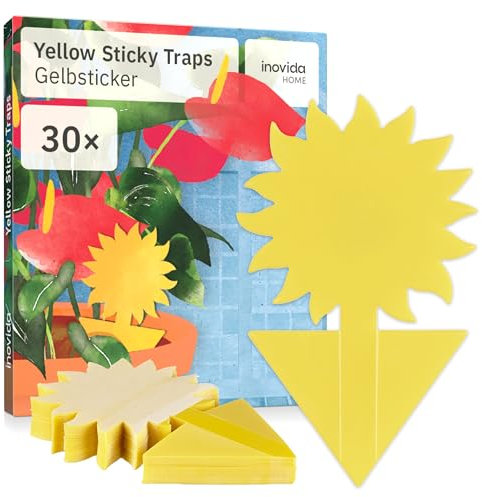 Fungus Gnat Sticky Traps : 30 Fly Sticky Traps for House Plants – Insecticide Free House Plant Fly Stickers – Yellow Fly Sticky Traps – Fruit Fly Trap – Fly Catcher Indoor – Fly Control by Inovida