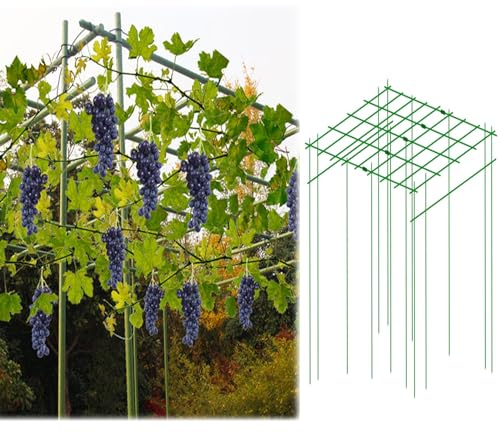 Garden Trellis for Climbing Plants, Sturdy Metal Support for Flowers Cucumbers and Grape Vines, Square Arbor Pergola for Backyard Gardening