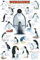 Educational - Bildung Pinguine - Penguins Bildungsposter Plakat Druck - Maxiposter Version in Englisch - Grösse 61x91,5 cm