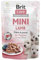 VAFO PRAHA s.r.o. Brit Care Dog Sasz.85g Mini Welpe Lamb / 24
