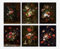 Dark Academia Aesthetic Room Décor - Set of 6 Dark Academia Flower Prints Wall Art aesthetic stuff, Great Gift for Teen Room Decor | Dorm Room Decor & Home Office poster & kunstdrucke (20 x 25 cm)