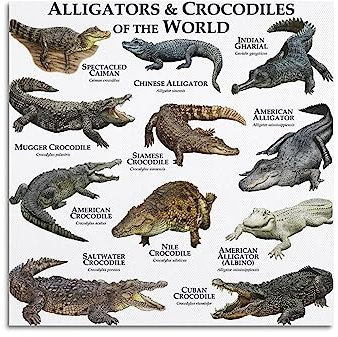 MITIN Vintage-Tier-Poster, Krokodil-Kollektion, dekoratives Gemälde, Leinwand, Wand- und Kunstbild, Familien-Schlafzimmer-Dekoration, 30 x 30 cm