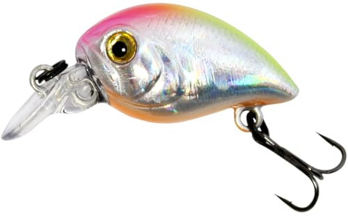 SEABUZZ Wobbler Chub Bug 2,5g x 2,7cm Flachläufer 0,5m - Hecht Zander Forelle Barsch Wels Angelköder mit Drillingshaken - Raubfisch Angeln Köder - Kunstköder - Forellenköder - Fishing Lures (014-CHCH)