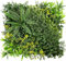 KARAT - Mur végétal Artificiel - Plantes artificielles à Fixer au Mur - Décoration Murale élégante pour Une Ambiance Naturelle - Résistante aux intempéries (Multielements, 50 x 50 cm)